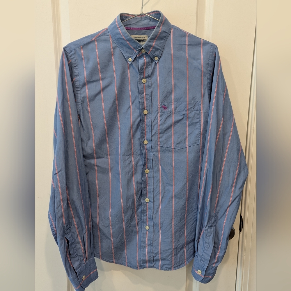 Vintage Abercrombie Fitch Shirt Mens M University Stripe Oxford Moose Y2K Blue